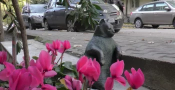 Die gestohlene Statue der berühmten Katze Istanbul ist endlich wieder da
