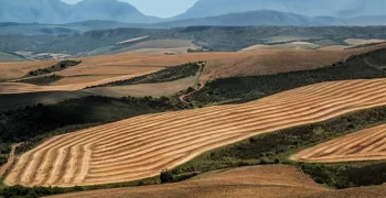 Warum ist der Kauf von Land eine vernünftige und rentable Investition?