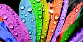 6 Trendfarben des Jahres 2023 laut Designern