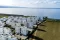 Exclusive project with full facilities in the beachfront of Cyprus